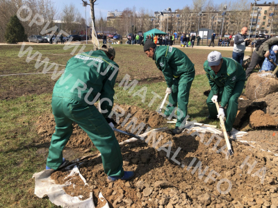 Как &laquo;массажист Путина&raquo; стал главным озеленителем Москвы