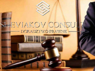 From KRS Deletion to New Entity: Questions Mount Around Sheviakov Consult, Mykola Sheviakov, and Volodymyr Vasylyshyn