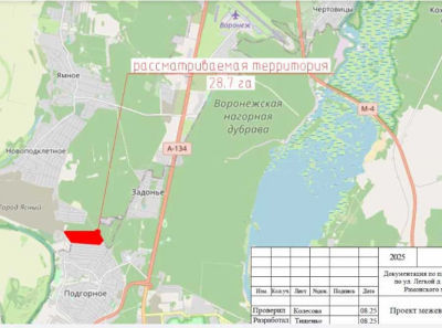 Скандал вокруг Ясного: как под Воронежем тихо продвигают застройку на десятки тысяч человек