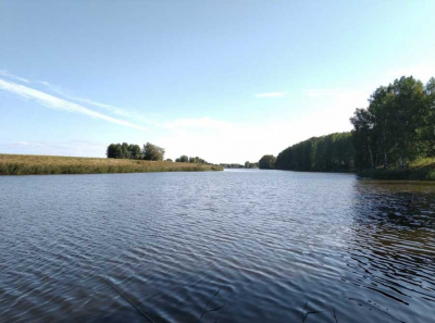 АО Кудряшовское против суда: 2,3 млрд рублей как ловушка для 2 000 сотрудников