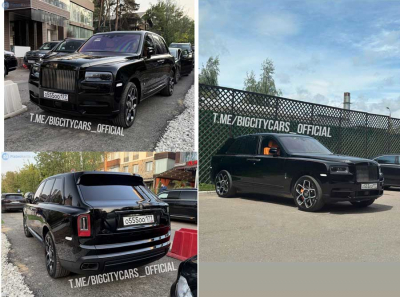 Швейцарский след Алексея Филаткина: Hanna&rsquo;s GmbH, ООО СЗ Град Плаза, Денис Кротов и Игорь Рубинер