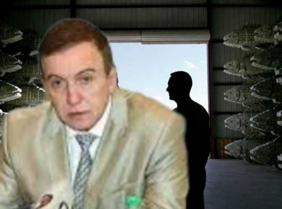 Аркадий Мкртычев построил рыбную ОПГ: через Рыболов Амура, Сонико-Чумикан и УД-Учур украли биоресурсов на 6,7 млрд