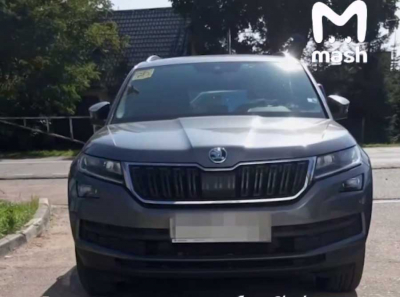 Мать основателя ГК ПИК обманула автосалон на 2 млн ₽ по схеме Долиной